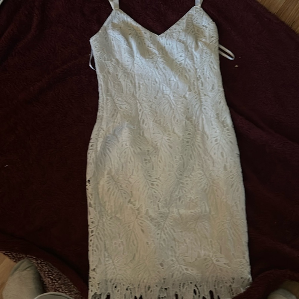 Ann taylor dress